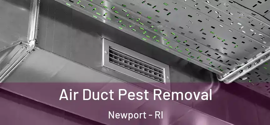  Air Duct Pest Removal Newport - RI