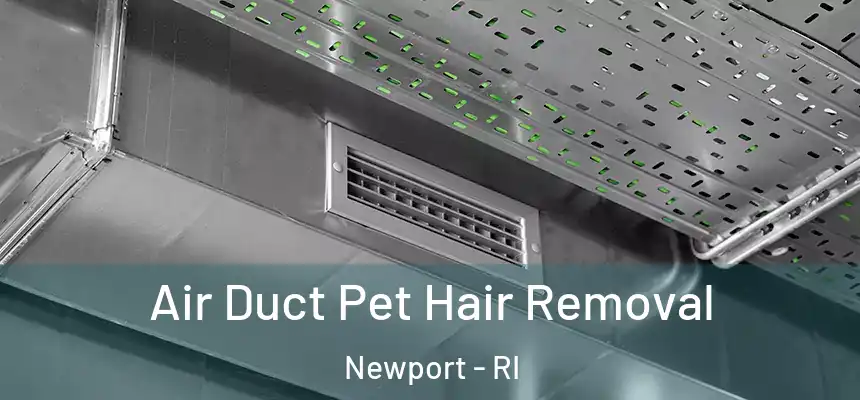  Air Duct Pet Hair Removal Newport - RI