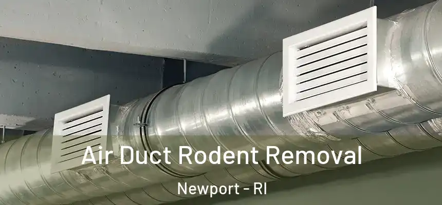  Air Duct Rodent Removal Newport - RI