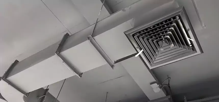 Restorative Allergy Relief Vent Cleaning – Coil, Blower & Housing Detail in Newport