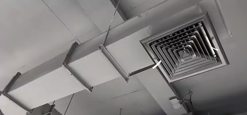 Our Pest Removal From Ducts Services in Newport, RI