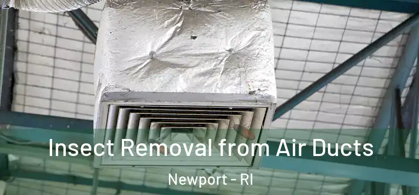 Insect Removal from Air Ducts Newport - RI