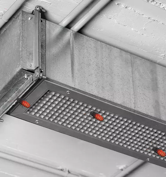 About Air Duct Cockroach Removal in Newport, RI