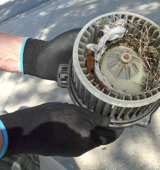 About Air Duct Mice Removal in Newport, RI