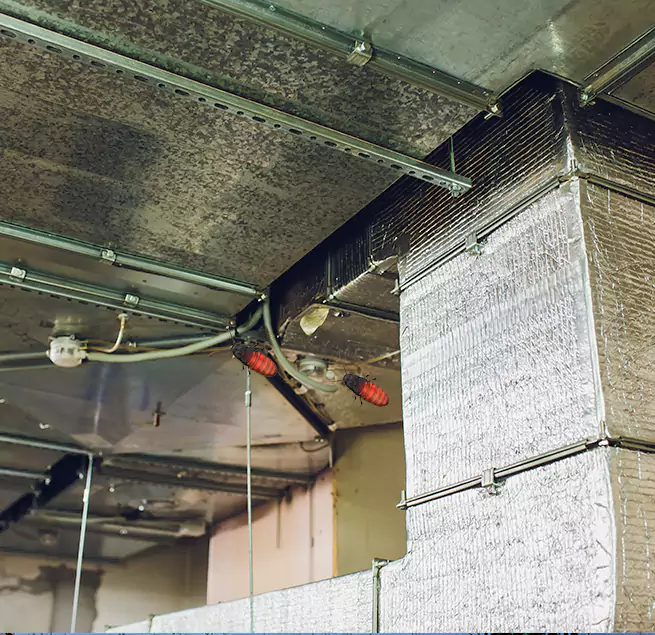 Why Homeowners & Businesses Trust Us in Newport, RI?