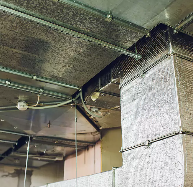 Why Homeowners & Businesses Trust Us in Newport, RI?